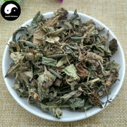 Di Dan Cao 地膽草, Herba Elephantopi, Elephantopus Herb, Di Dan Tou-Health Wisdom™