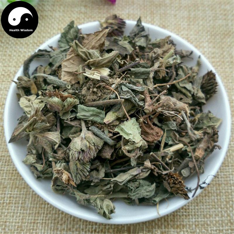 Di Dan Cao 地膽草, Herba Elephantopi, Elephantopus Herb, Di Dan Tou-Health Wisdom™
