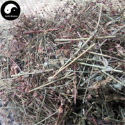 Di Er Cao 地耳草, Tian Ji Huang, Herba Hyperici Japonici, Japanese St. John'swort Herb-Health Wisdom™