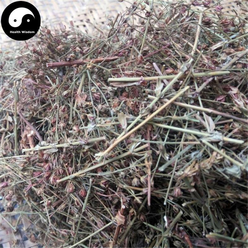Di Er Cao 地耳草, Tian Ji Huang, Herba Hyperici Japonici, Japanese St. John'swort Herb-Health Wisdom™