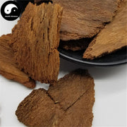 Di Feng Pi 地楓皮, Cortex Illicii, Illicium Bark-Health Wisdom™