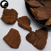 Di Feng Pi 地楓皮, Cortex Illicii, Illicium Bark-Health Wisdom™