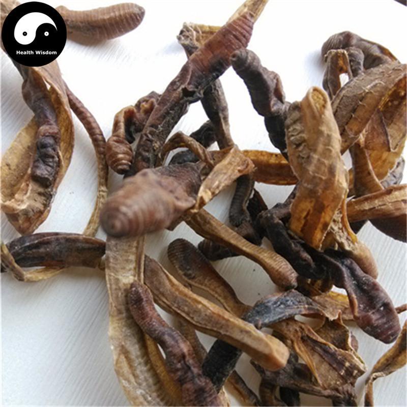 Di Long 地龙, Qiu Yin, Dried Lumbricus, PHERETIMA, Earthworm-Health Wisdom™