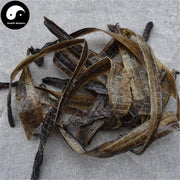 Di Long 地龙, Qiu Yin, Dried Lumbricus, PHERETIMA, Earthworm-Health Wisdom™