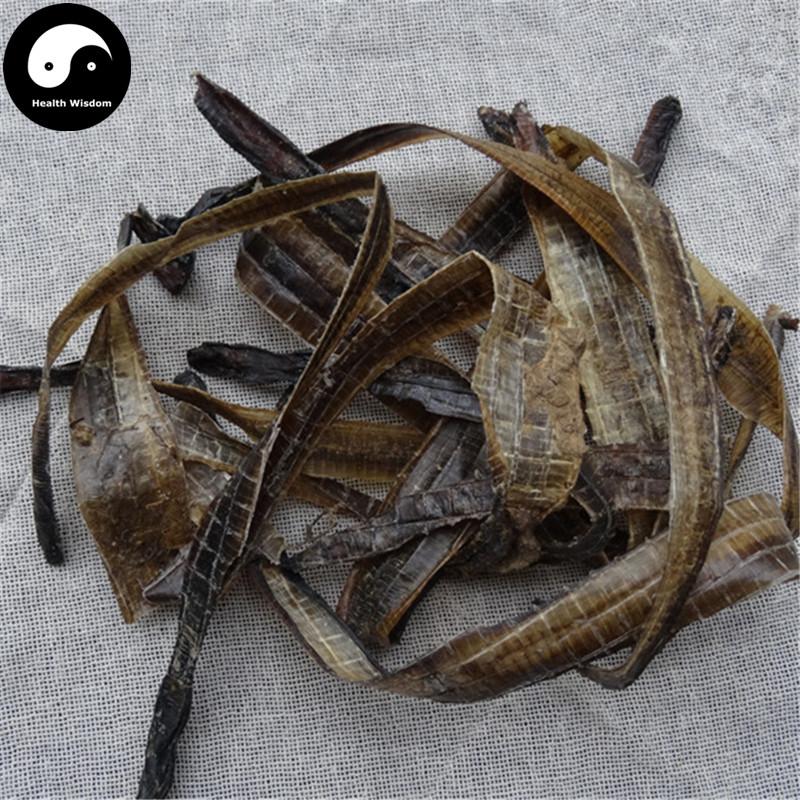 Di Long 地龙, Qiu Yin, Dried Lumbricus, PHERETIMA, Earthworm-Health Wisdom™