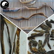 Di Long Fen 地龙粉, Qiu Yin, Lumbricus Powder, PHERETIMA, Earthworm-Health Wisdom™