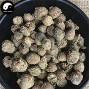 Di Shui Zhu 滴水珠, Tuber Pinelliae Cordatae, Cordate Pinellia Tuber, Shi Ban Xia-Health Wisdom™