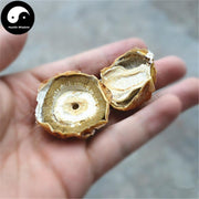 Dictyophora Eggs, Phallus Indusiatus, Stinkhorn Fungus, Bamboo Fungus, Zhu Sun Dan 竹荪蛋-Health Wisdom™