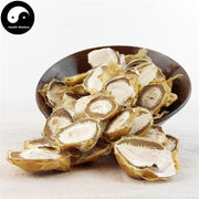 Dictyophora Eggs, Phallus Indusiatus, Stinkhorn Fungus, Bamboo Fungus, Zhu Sun Dan 竹荪蛋-Health Wisdom™