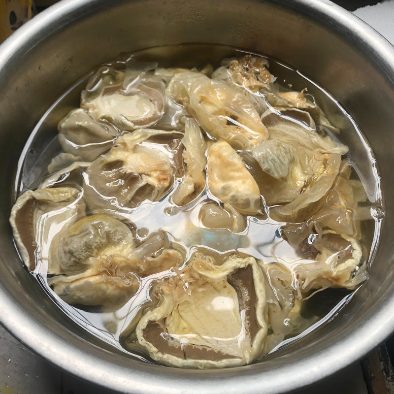 Dictyophora Eggs, Phallus Indusiatus, Stinkhorn Fungus, Bamboo Fungus, Zhu Sun Dan 竹荪蛋-Health Wisdom™