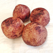 Dictyophora Eggs, Phallus Indusiatus, Stinkhorn Fungus, Bamboo Fungus, Zhu Sun Dan 竹荪蛋-Health Wisdom™