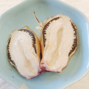 Dictyophora Eggs, Phallus Indusiatus, Stinkhorn Fungus, Bamboo Fungus, Zhu Sun Dan 竹荪蛋-Health Wisdom™