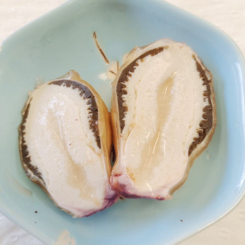 Dictyophora Eggs, Phallus Indusiatus, Stinkhorn Fungus, Bamboo Fungus, Zhu Sun Dan 竹荪蛋-Health Wisdom™