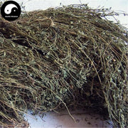 Ding Gui Cao 丁葵草, Twinleaf Zornia Herb, Herba Zorniae Diphyllae-Health Wisdom™