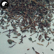 Ding Gui Cao 丁葵草, Twinleaf Zornia Herb, Herba Zorniae Diphyllae-Health Wisdom™