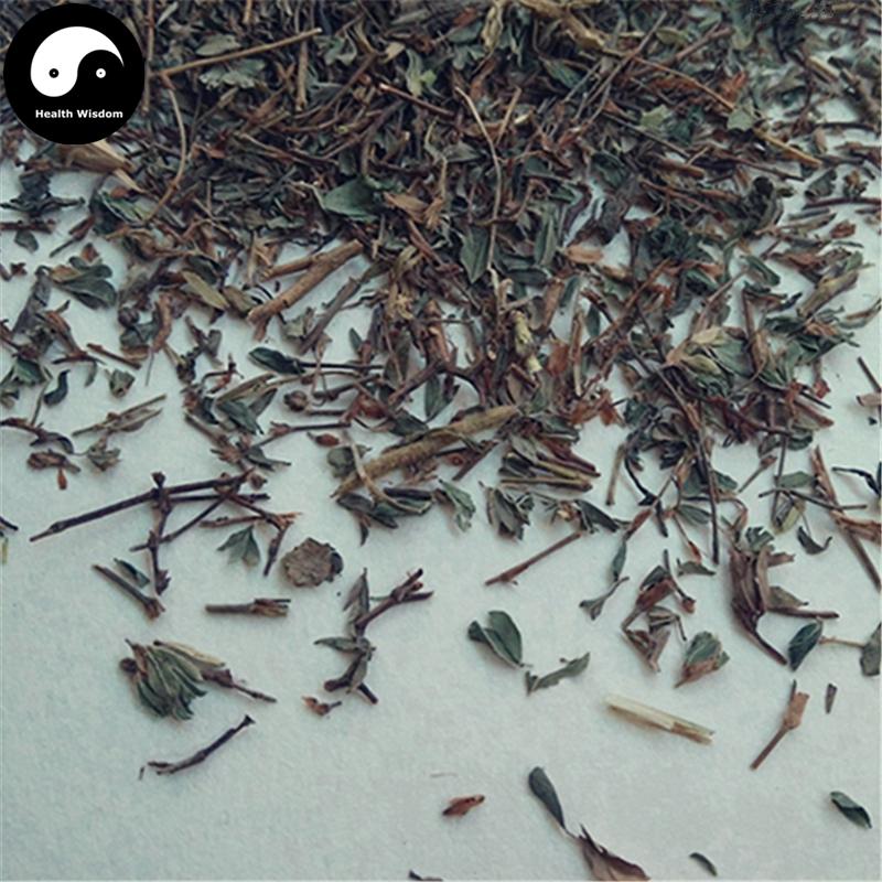 Ding Gui Cao 丁葵草, Twinleaf Zornia Herb, Herba Zorniae Diphyllae-Health Wisdom™