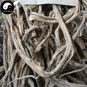 Diu Le Bang 丢了棒, Radix Claoxylon Indicum, Zhui Feng Gen, Chan Yi Teng-Health Wisdom™