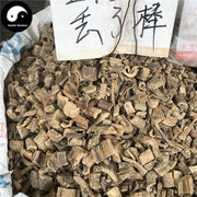 Diu Le Bang 丢了棒, Radix Claoxylon Indicum, Zhui Feng Gen, Chan Yi Teng-Health Wisdom™