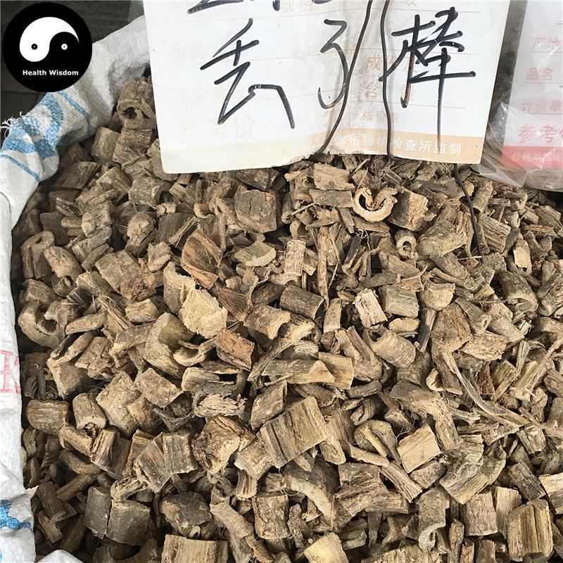 Diu Le Bang 丢了棒, Radix Claoxylon Indicum, Zhui Feng Gen, Chan Yi Teng-Health Wisdom™