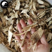 Dong Feng Ju 东风橘, Atalantia Buxifolia Root-Health Wisdom™