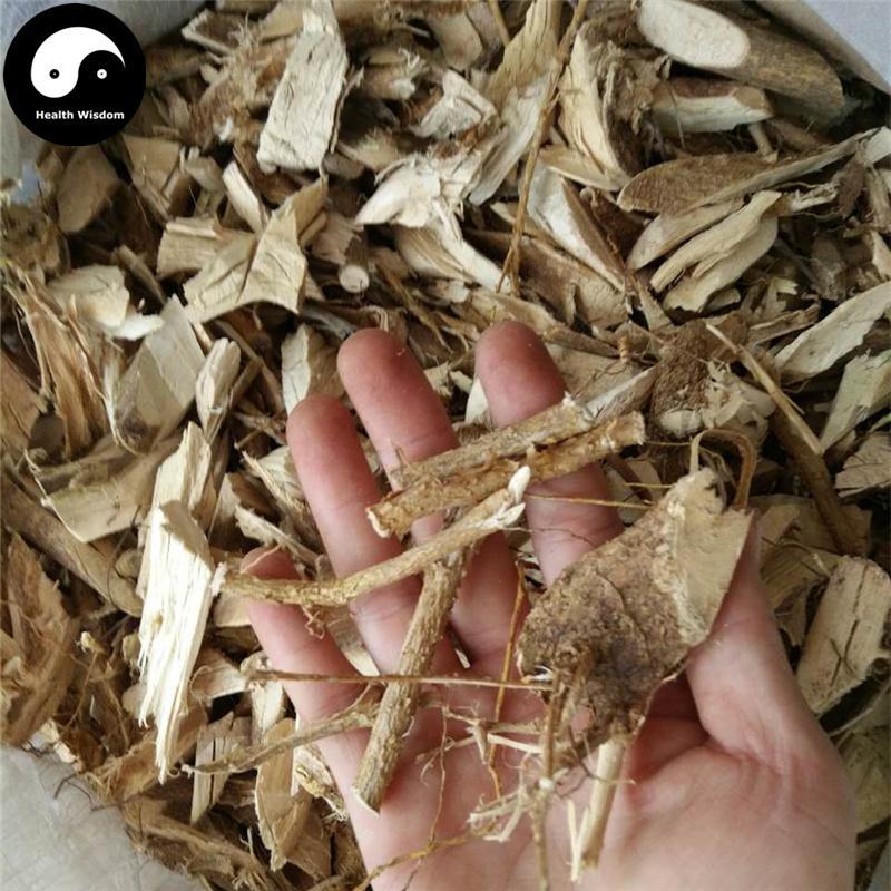 Dong Feng Ju 东风橘, Atalantia Buxifolia Root-Health Wisdom™