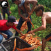 Dong Ge A Li 东革阿里, Tongkat Ali Root, Radix Eurycoma Longifolia, Pasak Bumi-Health Wisdom™