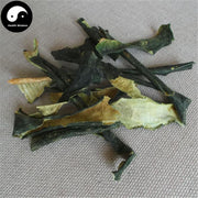 Dong Gua Pi 冬瓜皮, Waxgourd Peel, Exocarpium Benincasae-Health Wisdom™