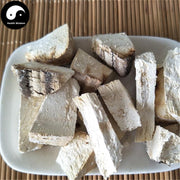 Dried Fomitopsis Officinalis, Mushroom Ku Bai Ti 苦白蹄-Health Wisdom™