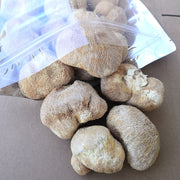 Dried Hericium Erinaceus, Lion's Mane Mushroom, Yamabushitake, Hou Tou Gu 猴头菇-Health Wisdom™