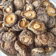 Dried Lentinan Mushroom, Chinese Shiitake Mushroom, Xiang Gu 香菇-Health Wisdom™