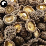Dried Lentinan Mushroom, Chinese Shiitake Mushroom, Xiang Gu 香菇-Health Wisdom™