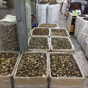Dried Lentinan Mushroom, Chinese Shiitake Mushroom, Xiang Gu 香菇-Health Wisdom™