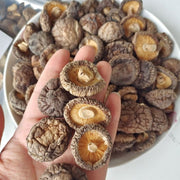Dried Lentinan Mushroom, Chinese Shiitake Mushroom, Xiang Gu 香菇-Health Wisdom™