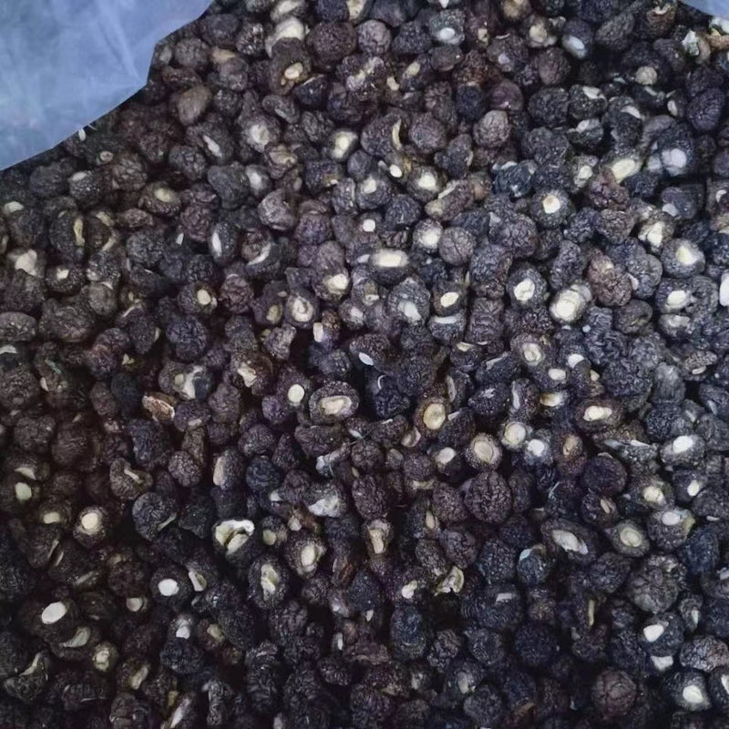 Dried Lentinan Mushroom, Chinese Shiitake Mushroom, Xiao Jin Qian Gu 小金钱菇 Xiang Gu 香菇-Health Wisdom™