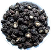 Dried Lentinan Mushroom, Chinese Shiitake Mushroom, Xiao Jin Qian Gu 小金钱菇 Xiang Gu 香菇-Health Wisdom™