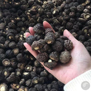 Dried Lentinan Mushroom, Chinese Shiitake Mushroom, Xiao Jin Qian Gu 小金钱菇 Xiang Gu 香菇-Health Wisdom™