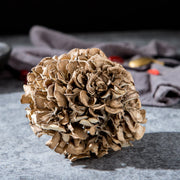 Dried Mushroom Maitake, Grifola Frondosa, Dancing Mushroom, Hui Shu Hua 灰树花, Wu Rong 舞茸-Health Wisdom™