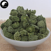 Dried Notoginseng Flower, Pseudoginseng Flowers Tea, San Qi, Tian Qi Hua Cha 田七花茶-Health Wisdom™