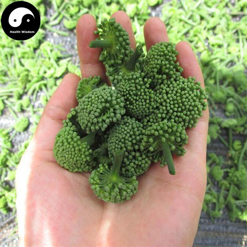 Dried Notoginseng Flower, Pseudoginseng Flowers Tea, San Qi, Tian Qi Hua Cha 田七花茶-Health Wisdom™
