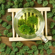 Dried Notoginseng Flower, Pseudoginseng Flowers Tea, San Qi, Tian Qi Hua Cha 田七花茶-Health Wisdom™