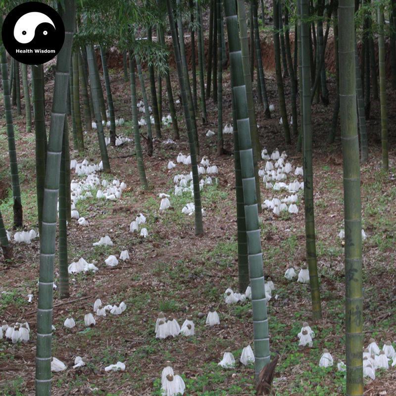 Dried Phallus Indusiatus, Stinkhorn Mushroom, Bamboo Fungus, 竹荪 Zhu Sun-Health Wisdom™