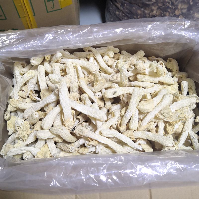 Dried Phallus Indusiatus, Stinkhorn Mushroom, Bamboo Fungus, 竹荪 Zhu Sun-Health Wisdom™
