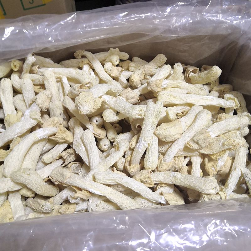Dried Phallus Indusiatus, Stinkhorn Mushroom, Bamboo Fungus, 竹荪 Zhu Sun-Health Wisdom™