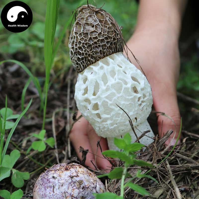 Dried Phallus Indusiatus, Stinkhorn Mushroom, Bamboo Fungus, 竹荪 Zhu Sun-Health Wisdom™