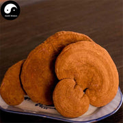 Dried Reishi Mushroom, Chinese Ganoderma Lucidum Tea, Ling Zhi 灵芝-Health Wisdom™