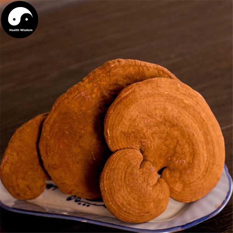 Dried Reishi Mushroom, Chinese Ganoderma Lucidum Tea, Ling Zhi 灵芝-Health Wisdom™