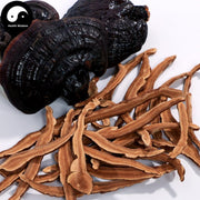 Dried Reishi Mushroom Slices, Ganoderma Lucidum Tea, Purple Ling Zhi Pian 灵芝片-Health Wisdom™