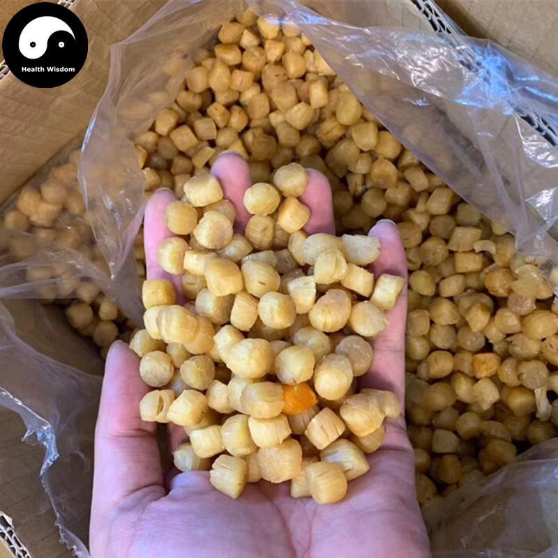 Dried Scallop, Seafood Chlamys Gan Bei 干贝, Yao Zhu 瑶柱, Yuan Bei 元贝, Shan Bei 扇贝-Health Wisdom™