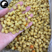 Dried Scallop, Seafood Chlamys Gan Bei 干贝, Yao Zhu 瑶柱, Yuan Bei 元贝, Shan Bei 扇贝-Health Wisdom™