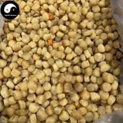 Dried Scallop, Seafood Chlamys Gan Bei 干贝, Yao Zhu 瑶柱, Yuan Bei 元贝, Shan Bei 扇贝-Health Wisdom™
